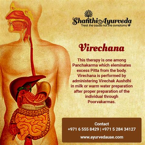 verechan|Virechana in Ayurveda Panchakarma treatment.